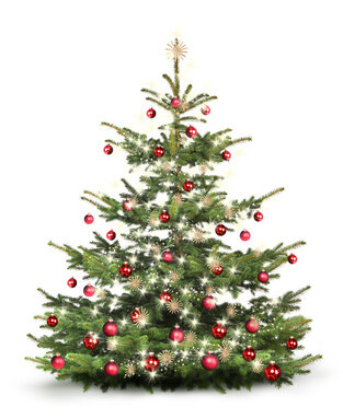 weihnachtsbaum-1x.jpg weihnachtsbaum-1x.jpg