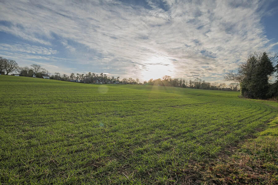 PS1R0958_1024.jpg PS1R0958_1024.jpg