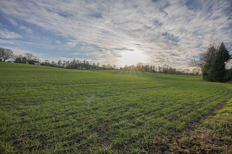 PS1R0964_1024.jpg PS1R0964_1024.jpg