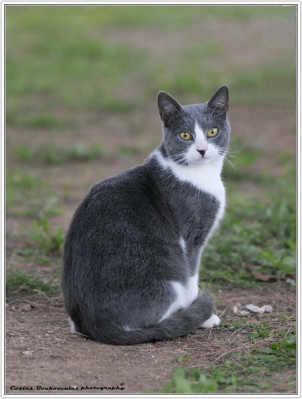 1679771912134.jpeg 1679771912134.jpeg