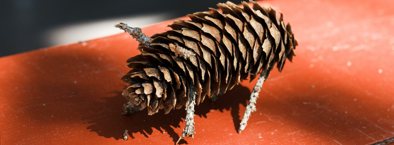 P1045866.jpg P1045866.jpg