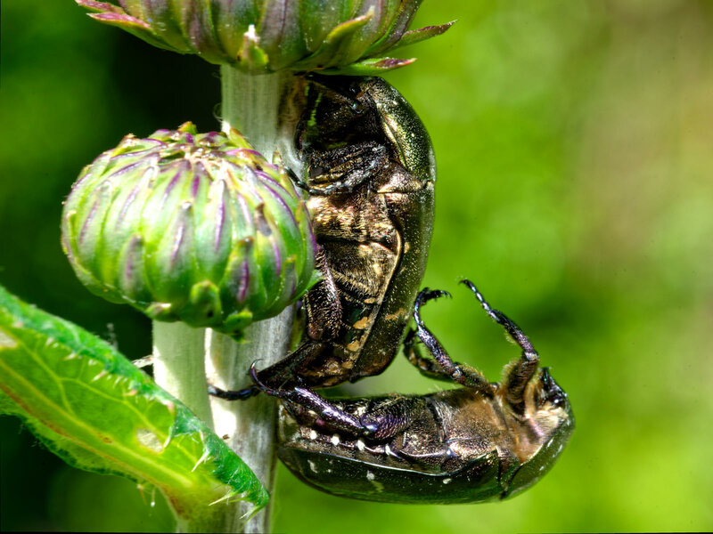 P1045893.jpg P1045893.jpg