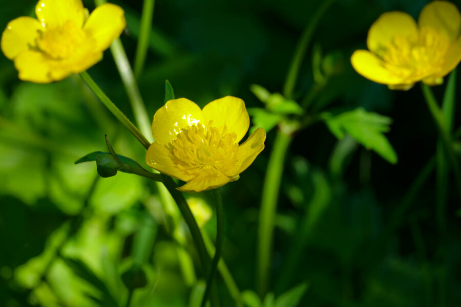 P1045929.jpg P1045929.jpg