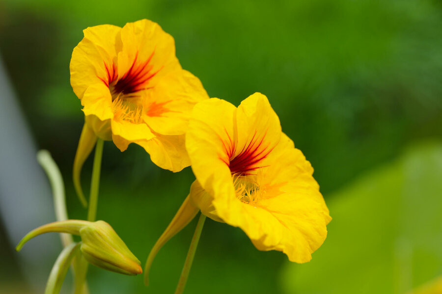 P1046081.jpg P1046081.jpg