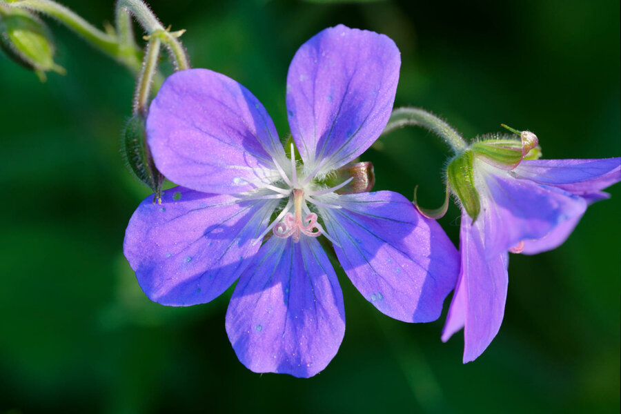 P1010566.jpg P1010566.jpg