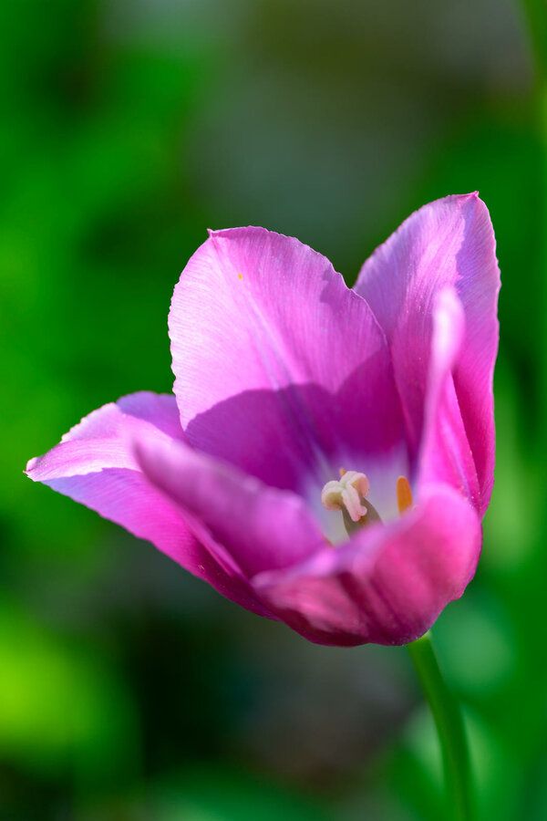 P1010113.jpg P1010113.jpg