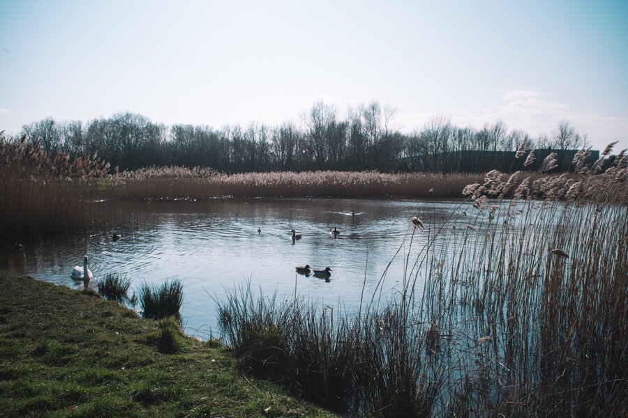 523569E2-8FA8-4E7B-A6CE-DC9BF7057572.jpeg 523569E2-8FA8-4E7B-A6CE-DC9BF7057572.jpeg