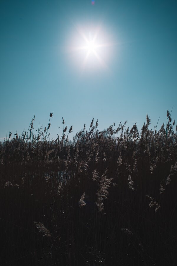 9685F89F-8C65-4B01-8B5A-2F2123310FFE.jpeg 9685F89F-8C65-4B01-8B5A-2F2123310FFE.jpeg