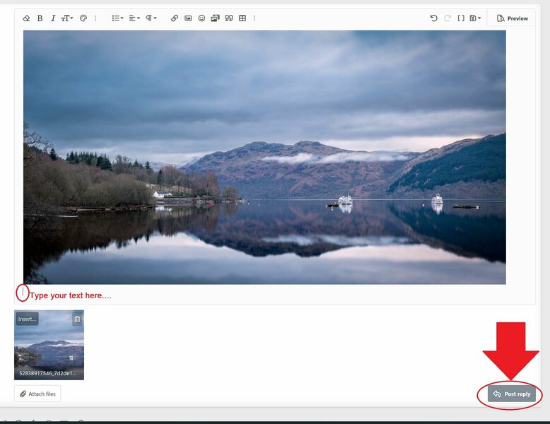 DPRF_insert3.jpg DPRF_insert3.jpg