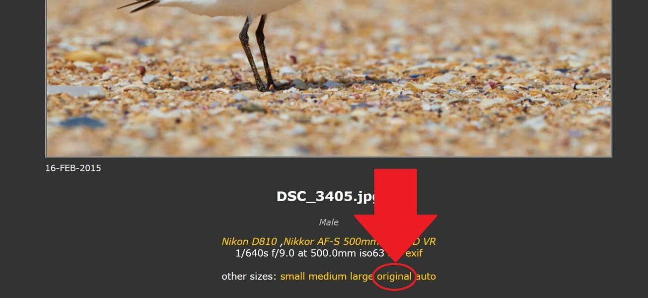 PBase1.jpg PBase1.jpg