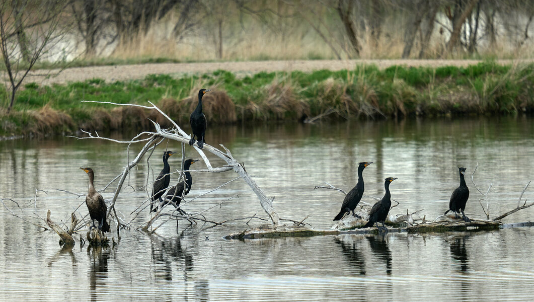 P1523080_4k.jpg P1523080_4k.jpg