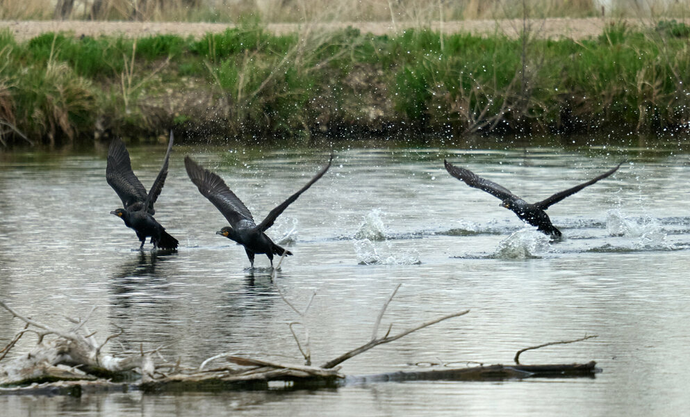 P1523107.jpg P1523107.jpg