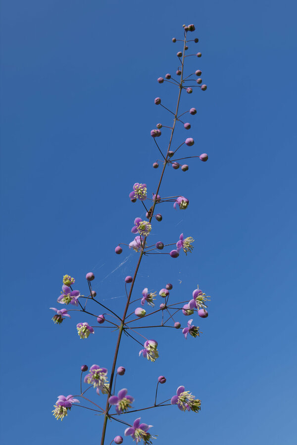 _1000024.jpg _1000024.jpg