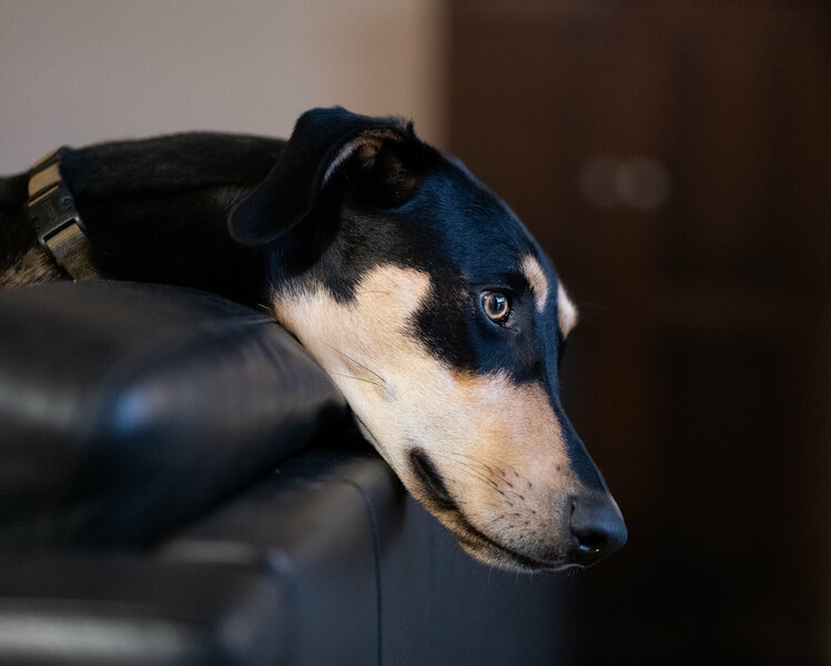 P1032073.jpg P1032073.jpg