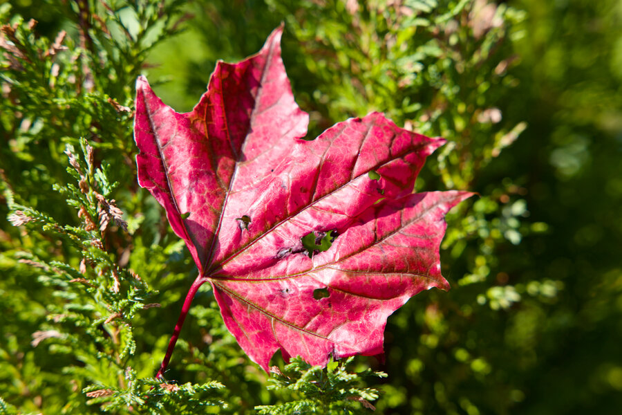 L1010299.jpeg L1010299.jpeg