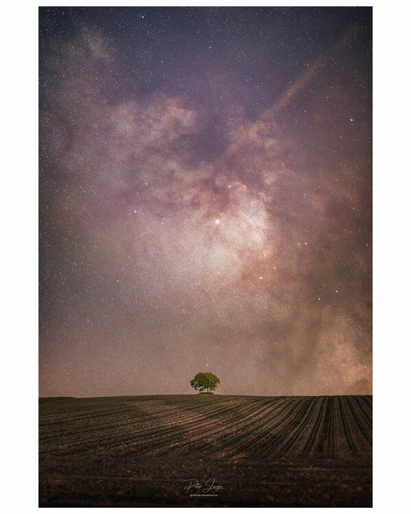 PANA0664-Edit-1 copy_2048x2560_U_100_Original ratio.jpg