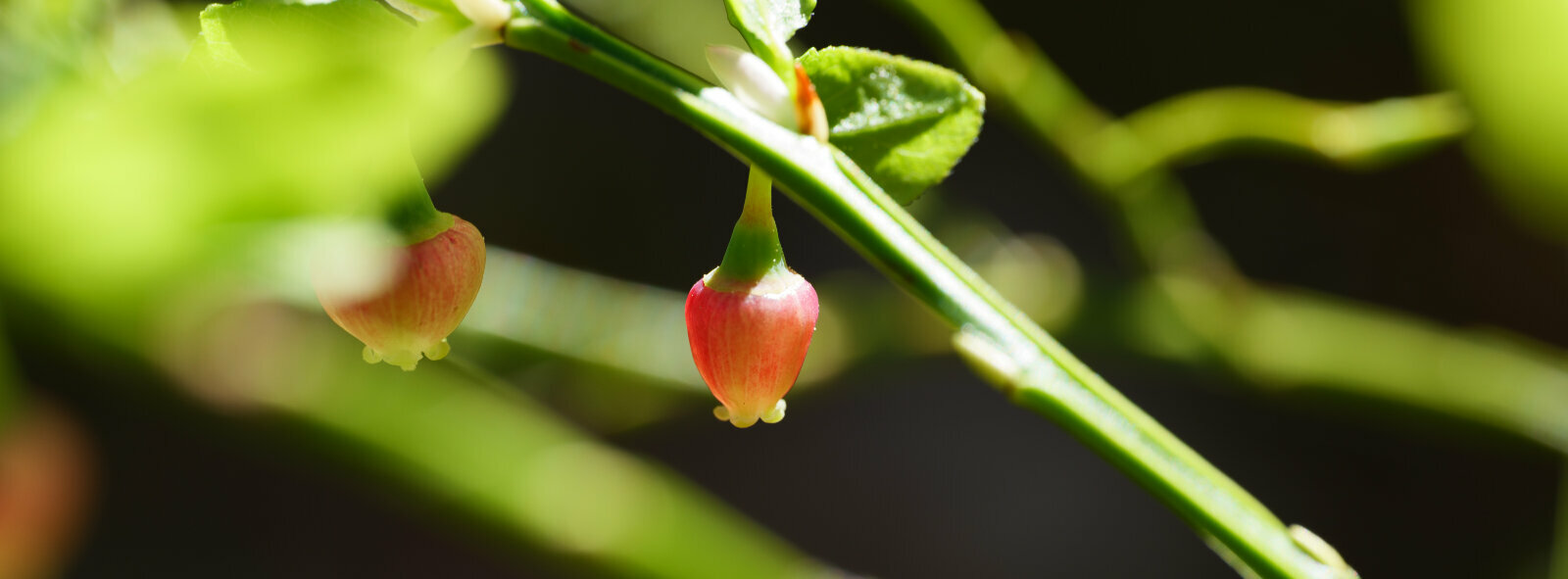 P1000275.jpg P1000275.jpg