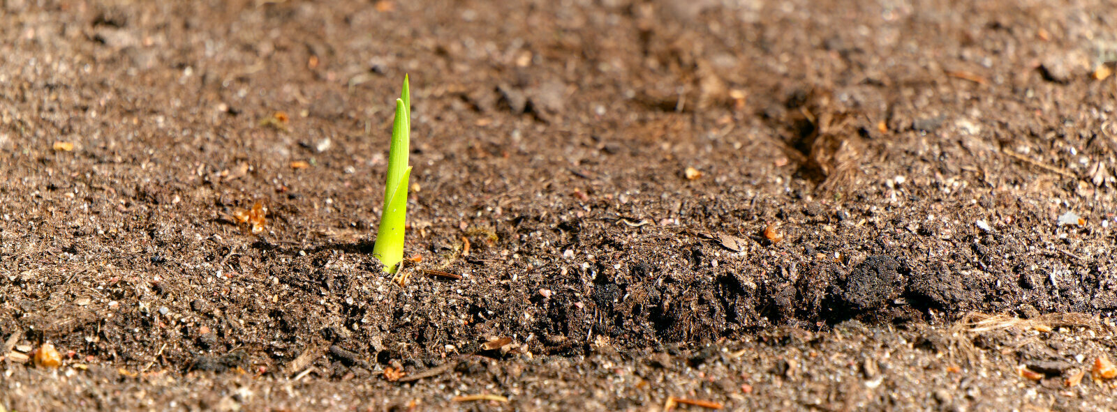 P1000302.jpg P1000302.jpg