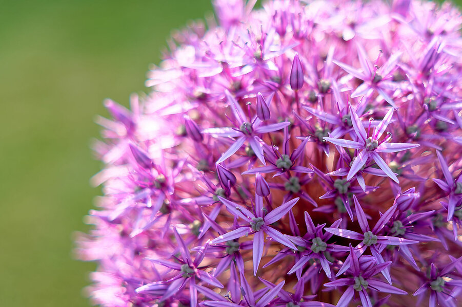 PS5B0814_DxO-2.jpg PS5B0814_DxO-2.jpg