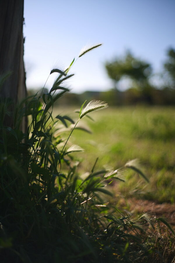 52052822322_6e7ecbb37f_b.jpg 52052822322_6e7ecbb37f_b.jpg