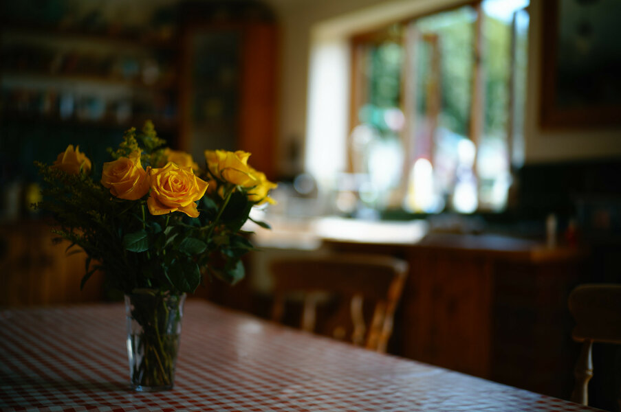 53005320419_0d66a78716_k.jpg 53005320419_0d66a78716_k.jpg