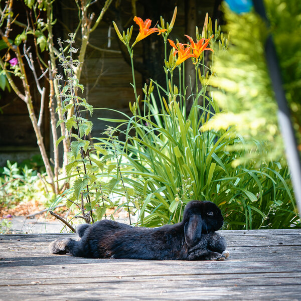 53005159846_9bdabb59fd_k.jpg 53005159846_9bdabb59fd_k.jpg