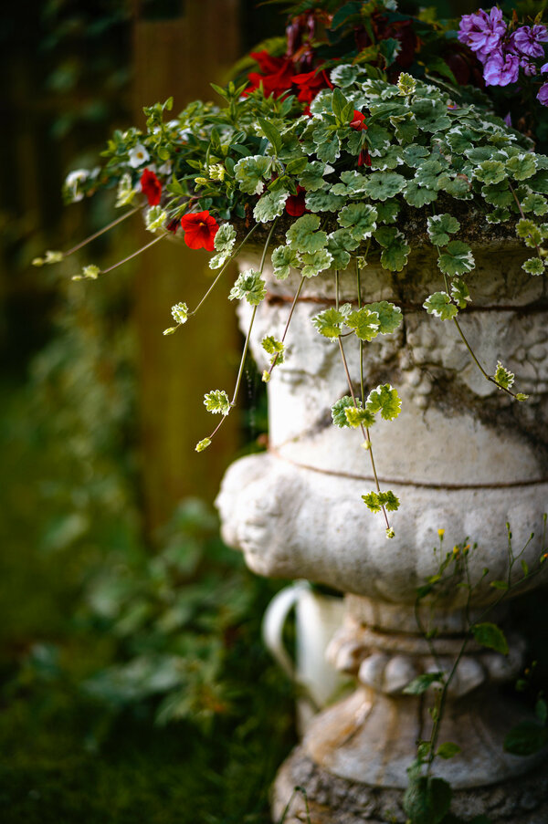 53005323869_c4e3e6750e_k.jpg 53005323869_c4e3e6750e_k.jpg