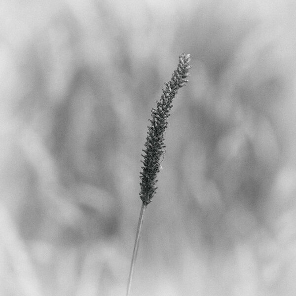 53023731637_88da860603_c.jpg 53023731637_88da860603_c.jpg