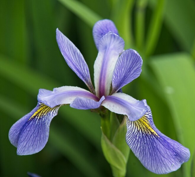 20230516-P1011347.jpg 20230516-P1011347.jpg