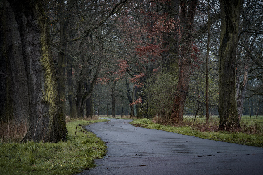 P1004206.jpg P1004206.jpg