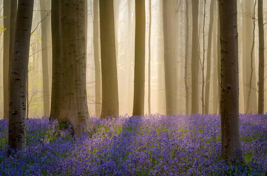 P1004853-Bearbeitet.jpg P1004853-Bearbeitet.jpg