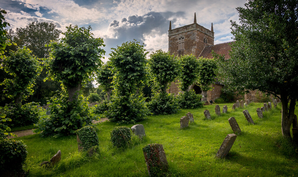 53073151346_fa0a6a857d_o.jpg 53073151346_fa0a6a857d_o.jpg