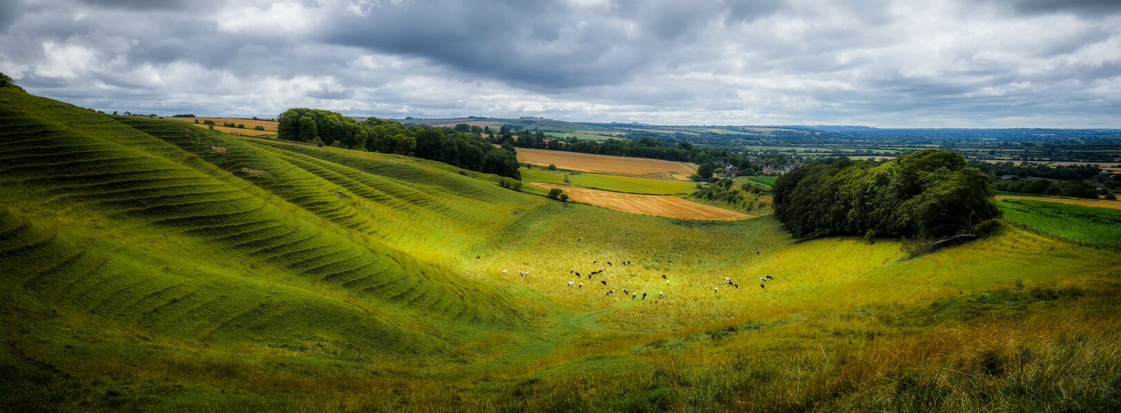 53083879520_e05866300c_o.jpg 53083879520_e05866300c_o.jpg