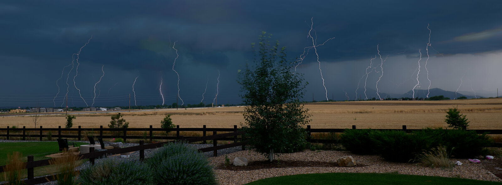 P1176566 1.jpg P1176566 1.jpg