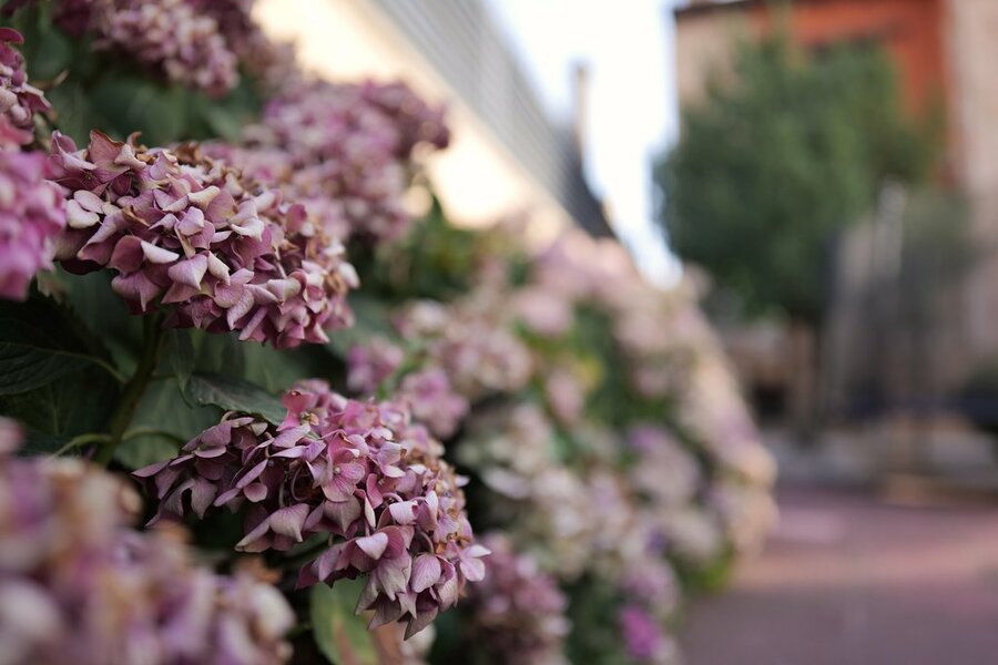 53103124045_c69fc4bdd4_b.jpg 53103124045_c69fc4bdd4_b.jpg