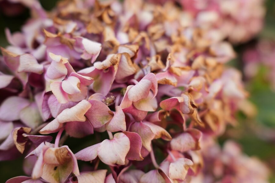 53104457065_759bf473db_b.jpg 53104457065_759bf473db_b.jpg