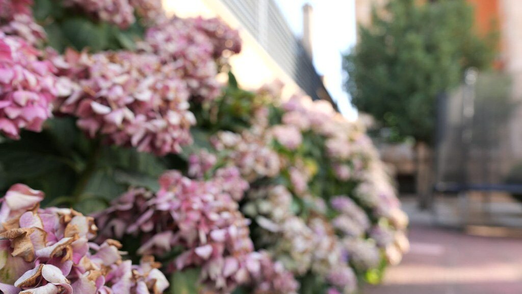 53102925229_9b9d61ded5_b.jpg 53102925229_9b9d61ded5_b.jpg