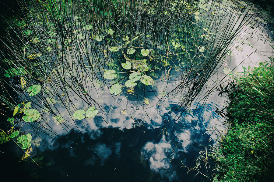 53098485141_1055eaab34_b.jpg 53098485141_1055eaab34_b.jpg