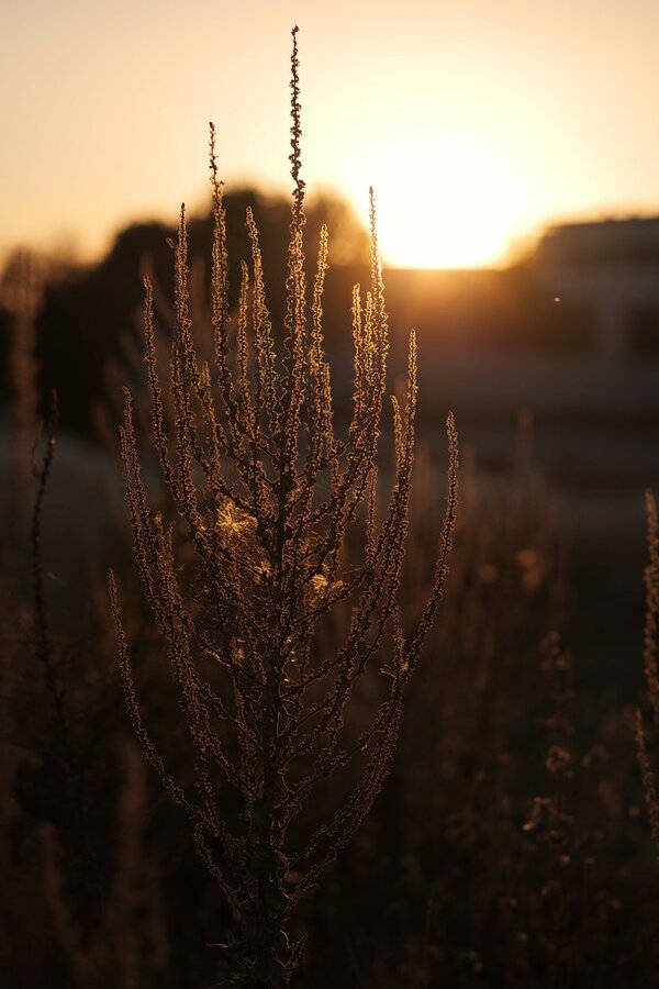 53112248385_a4ebc503c0_b.jpg 53112248385_a4ebc503c0_b.jpg