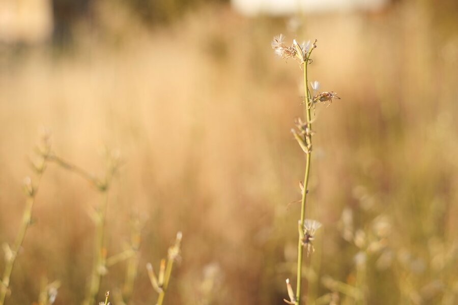 53117940619_30840e6c2f_b.jpg 53117940619_30840e6c2f_b.jpg