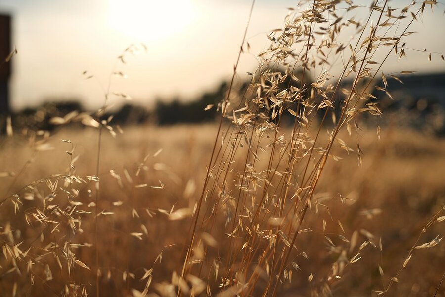 53117139572_24365f67b4_b.jpg 53117139572_24365f67b4_b.jpg