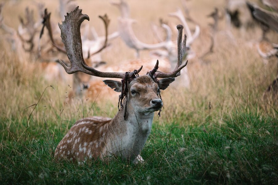 53128392525_a04a085a06_h.jpg 53128392525_a04a085a06_h.jpg