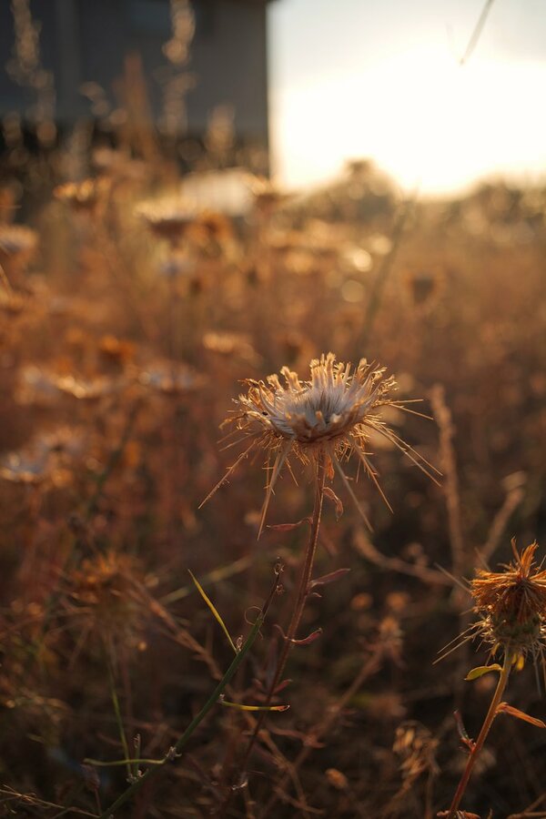 53126032428_0449e269d0_b.jpg 53126032428_0449e269d0_b.jpg