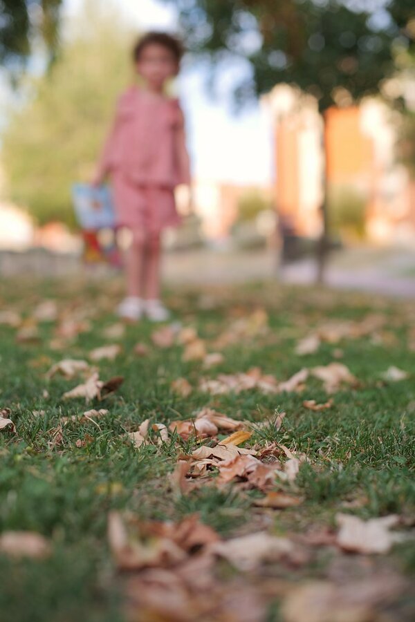 53139540764_01af926082_b.jpg 53139540764_01af926082_b.jpg