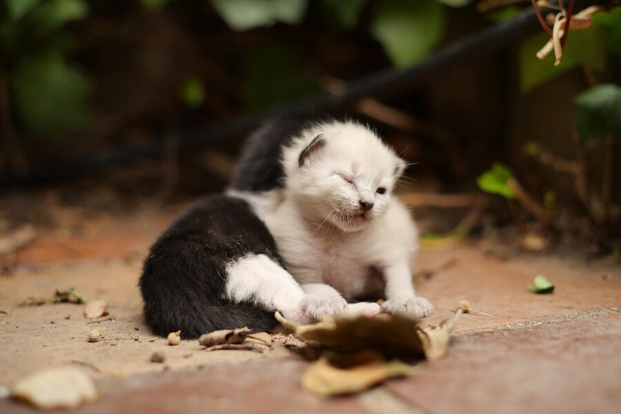 53146584167_16b515b352_b.jpg 53146584167_16b515b352_b.jpg