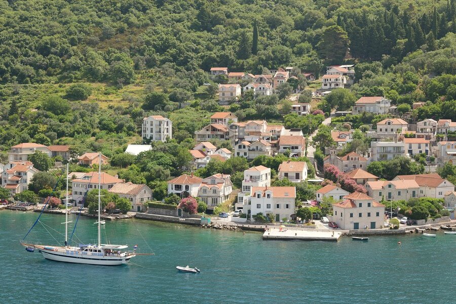 53091594218_6e740c208e_b.jpg 53091594218_6e740c208e_b.jpg