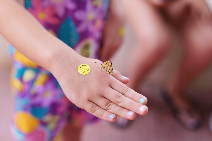 53047294454_29f6255345_b.jpg 53047294454_29f6255345_b.jpg