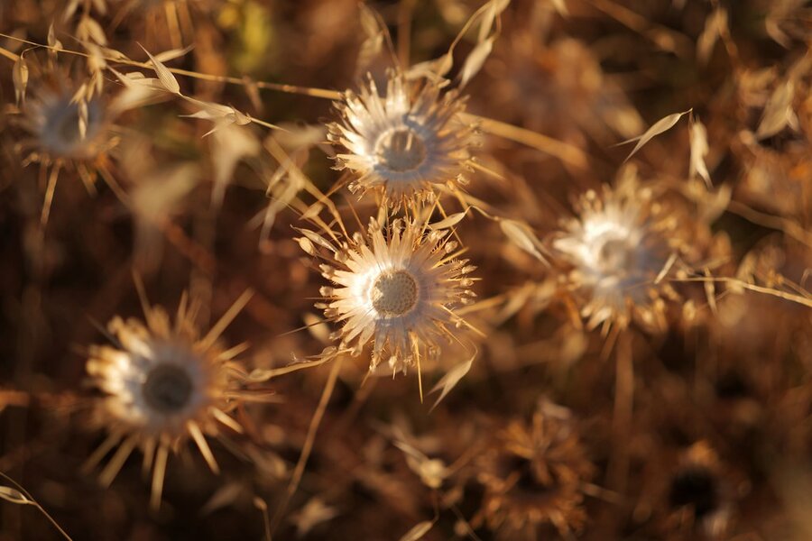 53125922434_186555959b_b.jpg 53125922434_186555959b_b.jpg