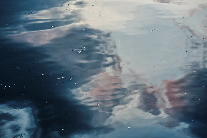 53161302157_925e6405b4_c.jpg 53161302157_925e6405b4_c.jpg