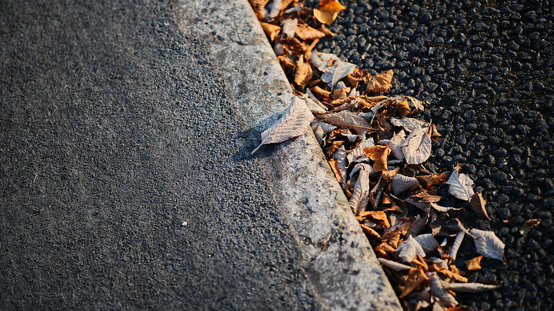 53161889991_5971bef432_c.jpg 53161889991_5971bef432_c.jpg